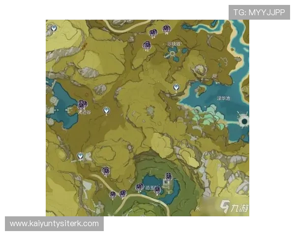 开云九游娱乐app登录密码忘记重置方法全攻略