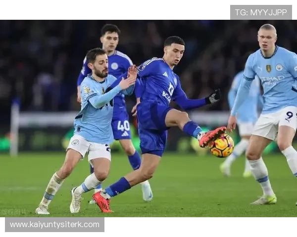 开云官方网站入口页面：详细解析开云官网入口页面的操作流程与使用技巧