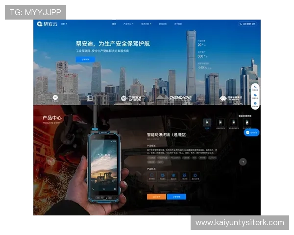 开云网站入口官网安全登录指南，保障用户信息安全顺畅访问开云官方平台