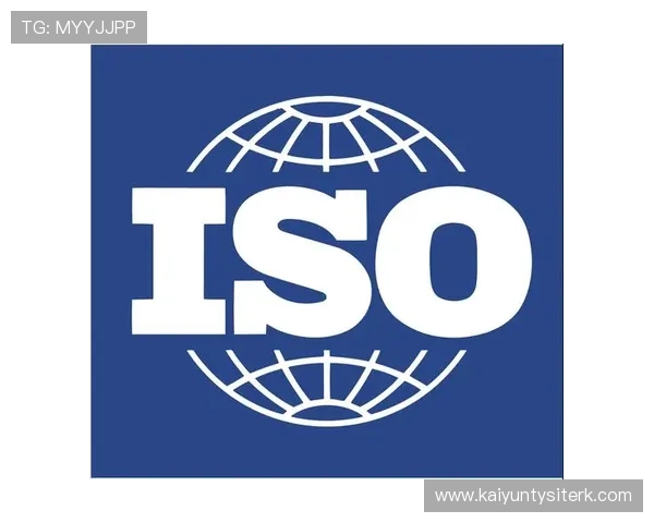 如何快速访问kaiyun体育官方网站登录入口iso确保账号安全与顺畅体验